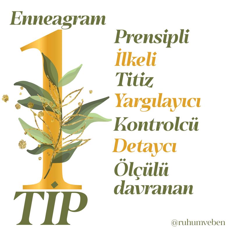 Enneagram Tip 1'in özellikleri