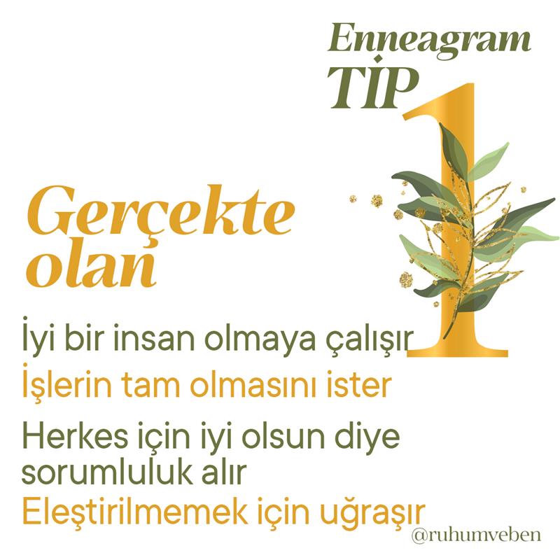 Sen de Enneagram Tip 1 olabilir misin?